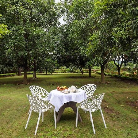 Stayvista'S Prakriti Farms With Outdoor Pool, Complimentary Breakfast And Hi-Tea Udaipur Esterno foto